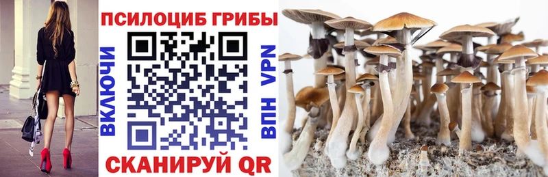 Галлюциногенные грибы Psilocybe  Алексин 