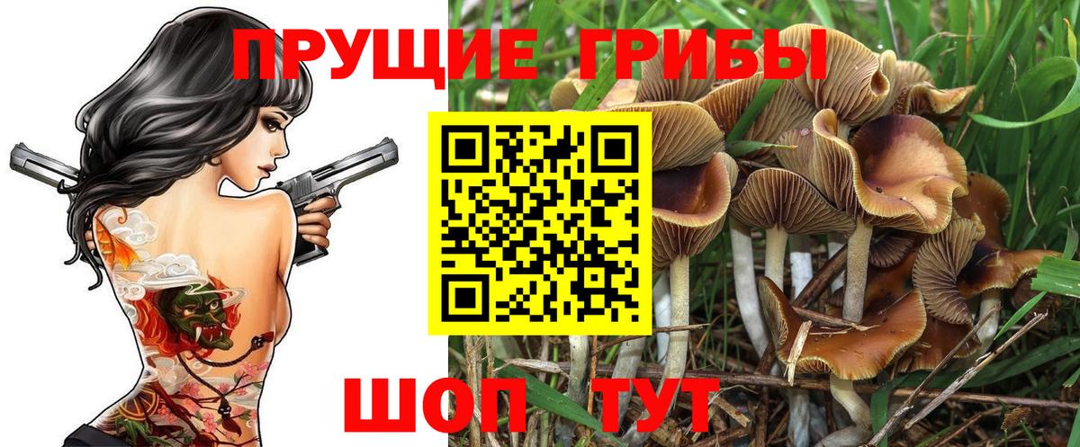 Псилоцибиновые грибы MAGIC MUSHROOMS  Галлюциногенные грибы ЛСД  Алексин 