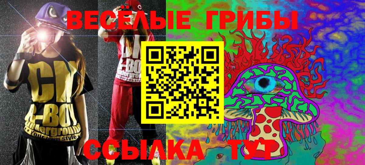 купить   Псилоцибиновые грибы мухоморы  Вход с VPN  Алексин 